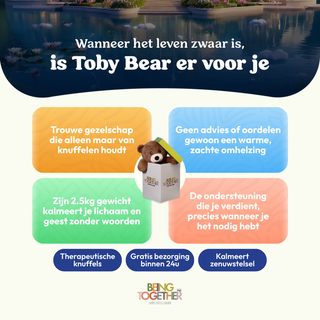 Coming Soon: Toby Bear